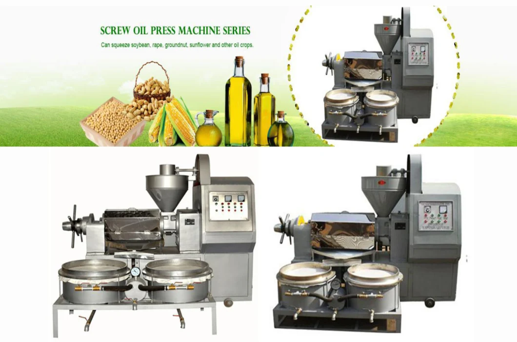 Home Olive Oil Cold Press Machine/Mini Olive Oil Press Soybean Oil Extract Machine