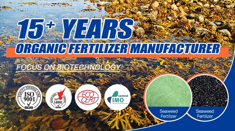 Seaweed Extract Organic Liquid Root Bio Fertilizer Organic NPK Fertilizer