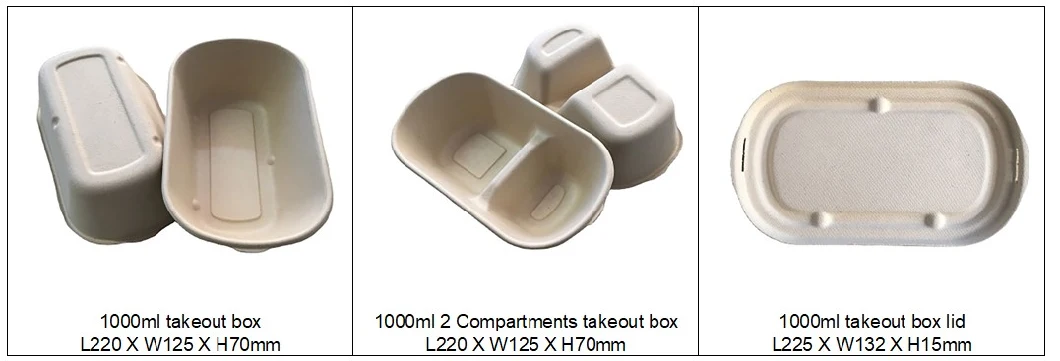 700ml Biodegradable, Plant-Based, 700ml Disposable Takeaway Box with Lid