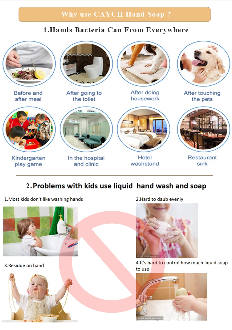 Organic Hand Soap Foam Soap Hand Sanitizer