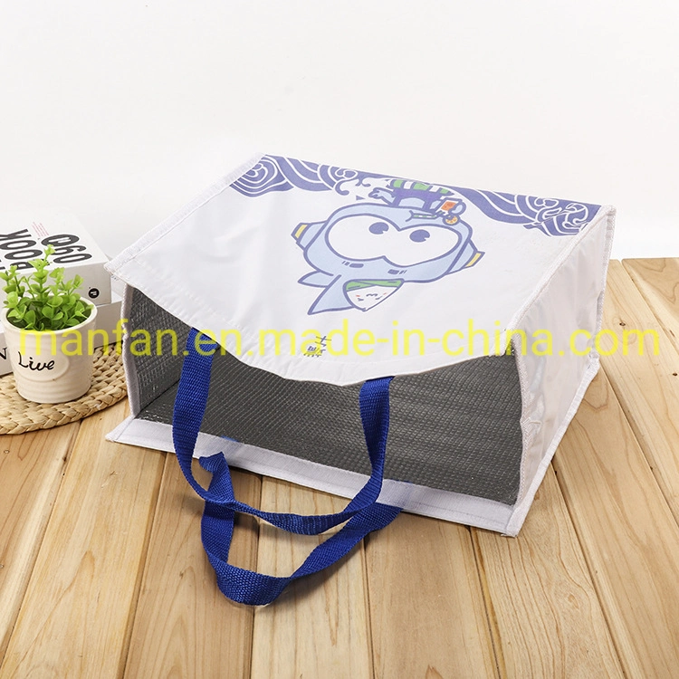Soft Collapsible Cooler Bag Lunch Bag Box