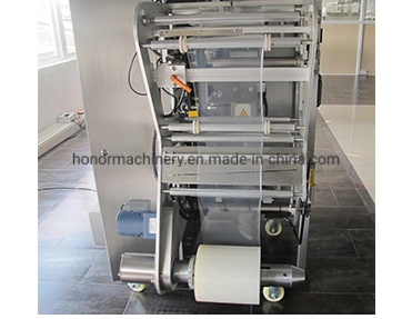 Detergent/Washing Powder Form, Fill, Seal Packing Machine in Bag (100g-5kg)