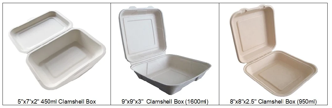 Biodegradable, Plant-Based, 700ml Disposable Takeaway Box with Lid