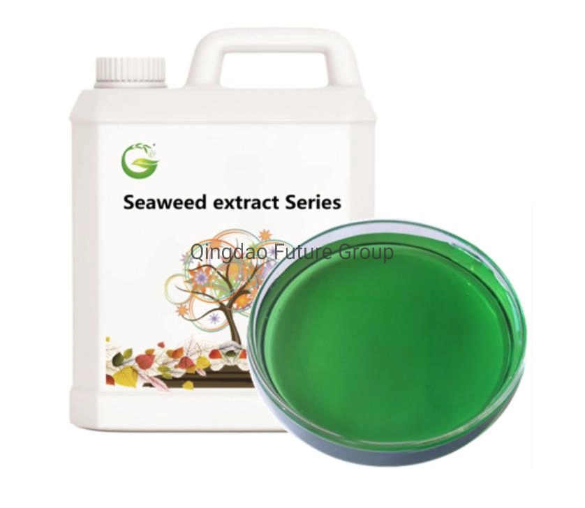 Hot Sale Seaweed Liquid Organic Fertilizer Complex Amino Acid Fertilizer