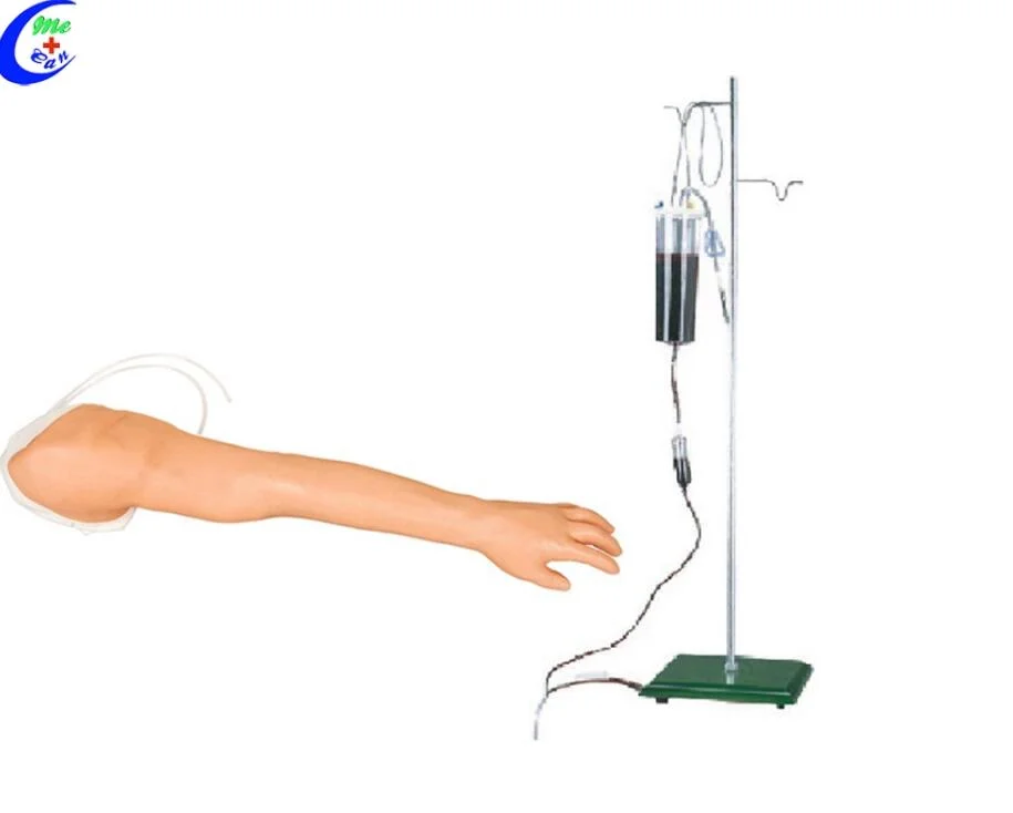 Human Patient Simulator Venipuncture and Injection Training Manikin