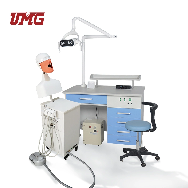 Medical Education Supplies Dental Patient Simulator