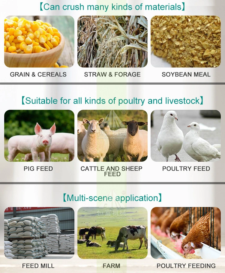 Flat Die Pellet Production Line Animal Feed Pellet Machine Price