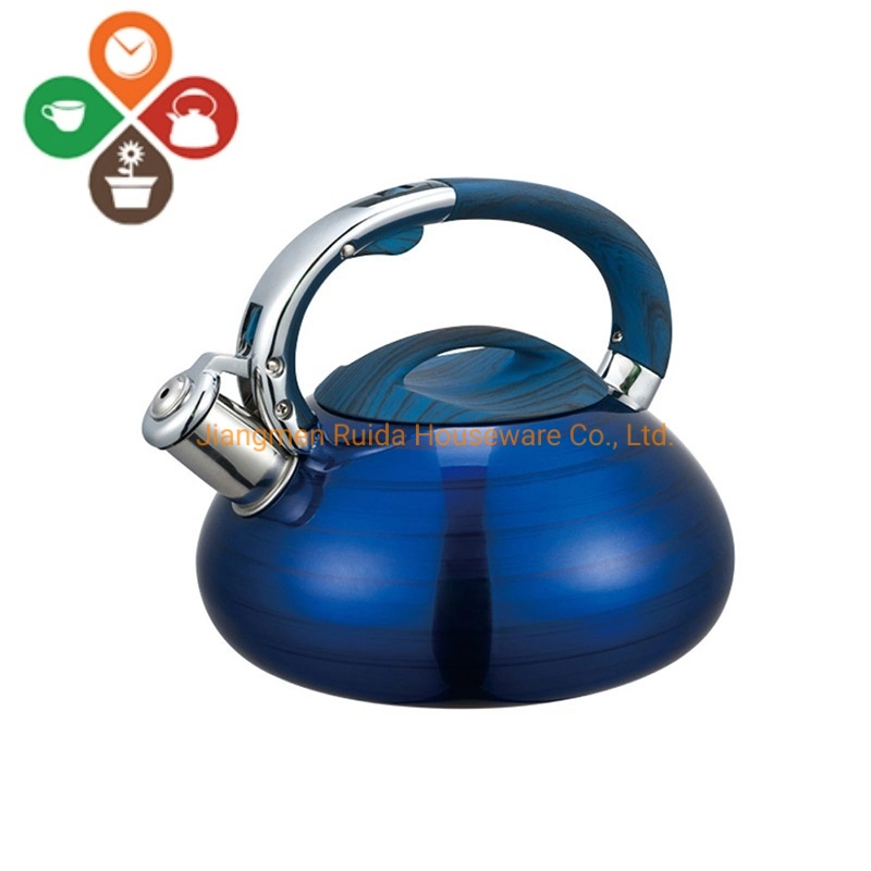 Stainless Steel Kettle with Whistling and Heat Resistant Painting