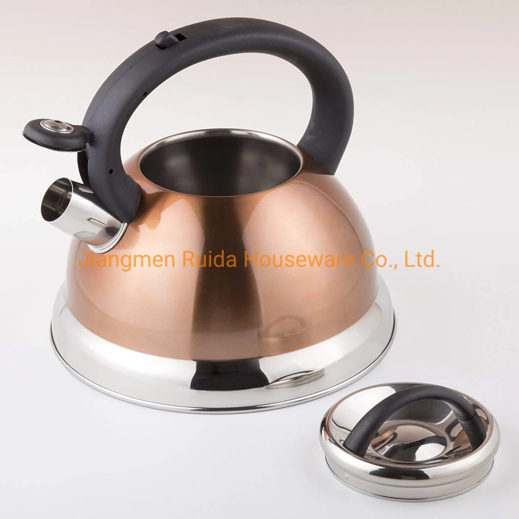 Heat Resistant Copper Painting Nylon Handle Stainless Steel Whistling Kettle Tea Kettle