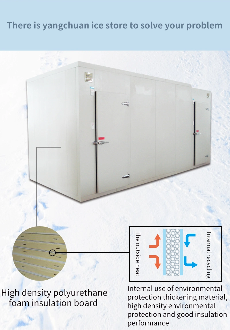 Insulation Refrigeration House PU Panel Cold Room