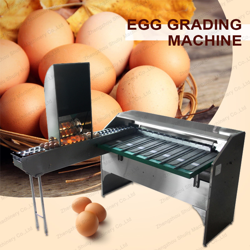 Egg Grader Machine Sorting Grading Machine for Sale