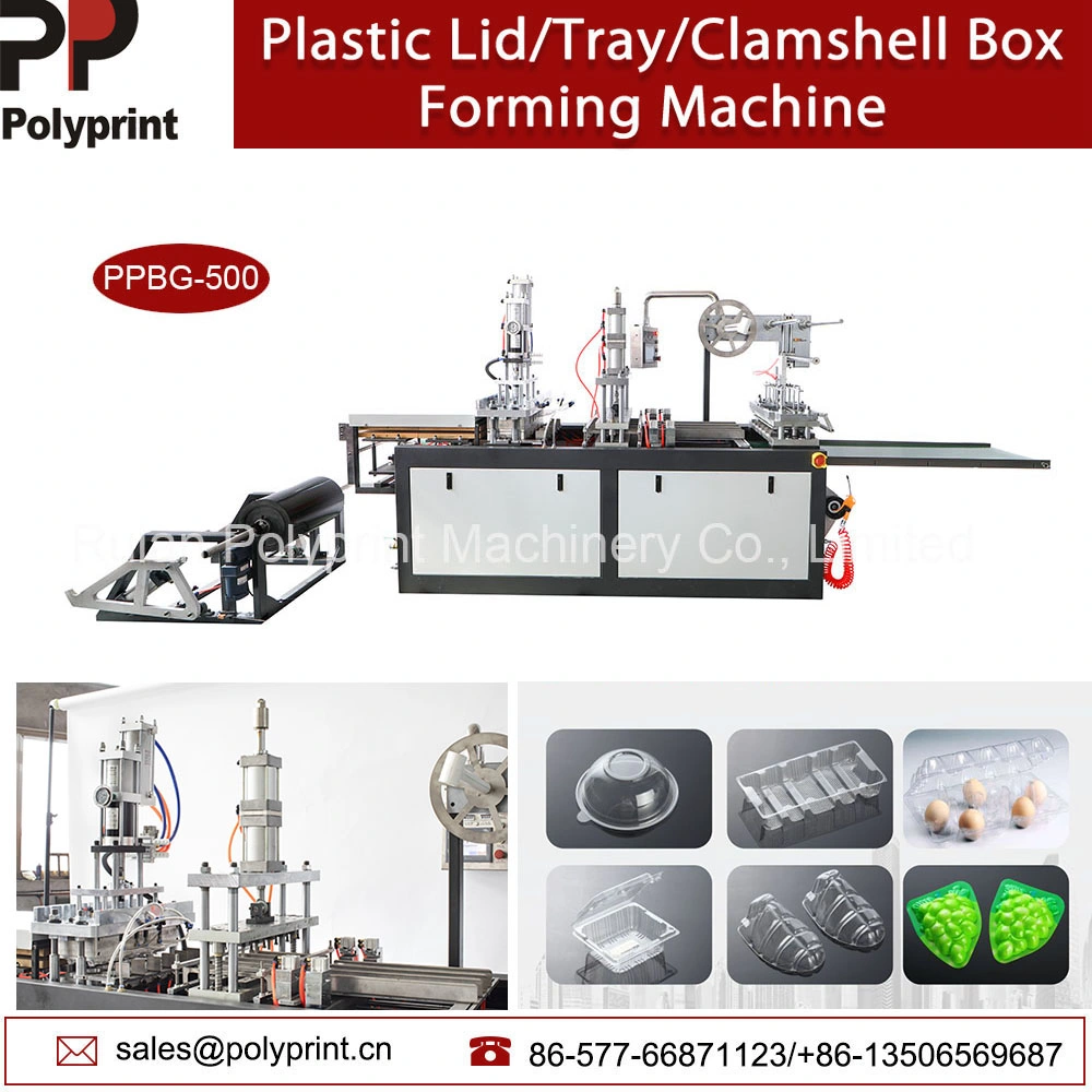Automatic Plastic Plate Egg Tray Container Food Box Thermoforming Forming Making Machine Egg Box Production Line