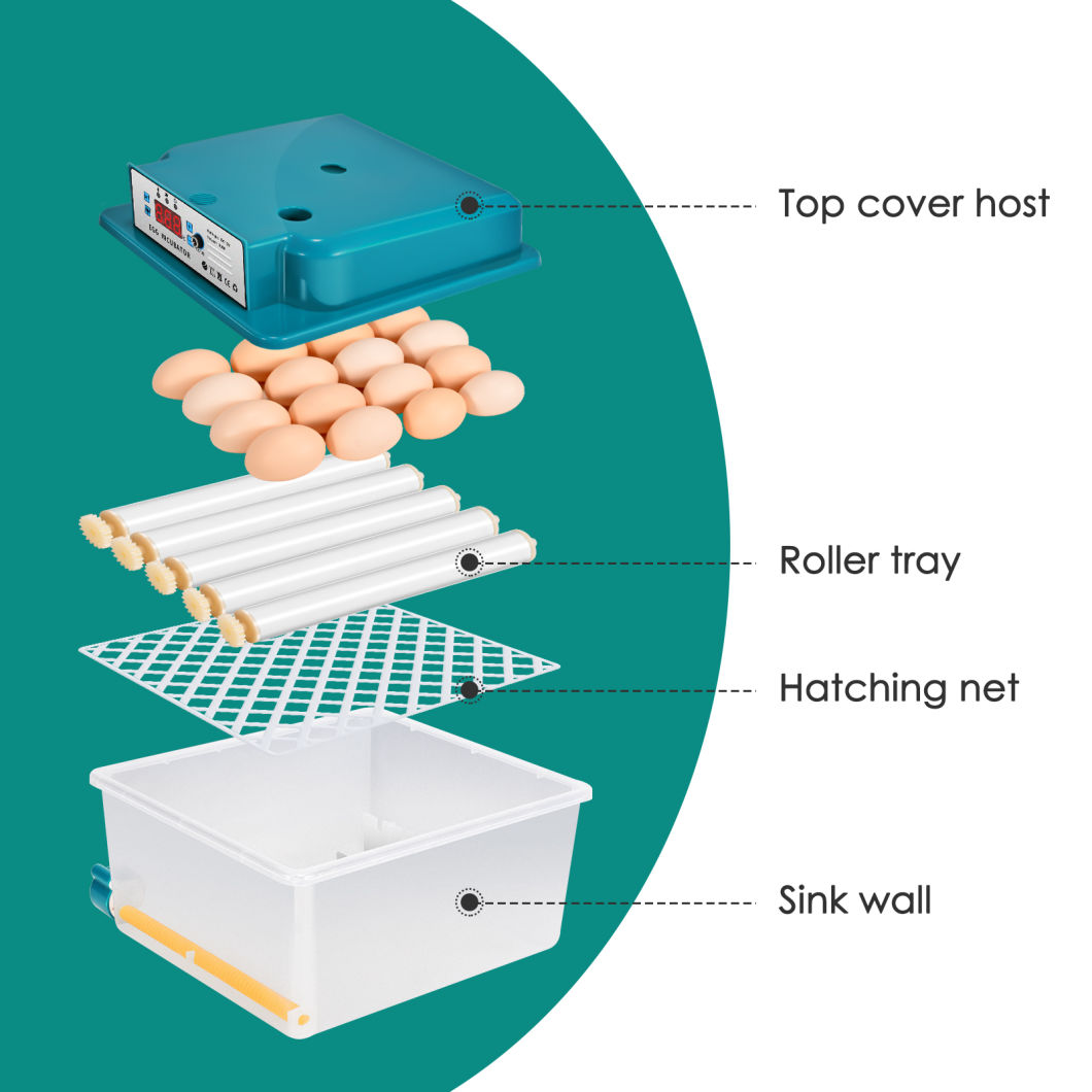 16 Automatic Double Electric Egg Incubators Mini Automatic Incubator with Flipper Used to Hatch Goose and Quail Eggs Egg Incubator