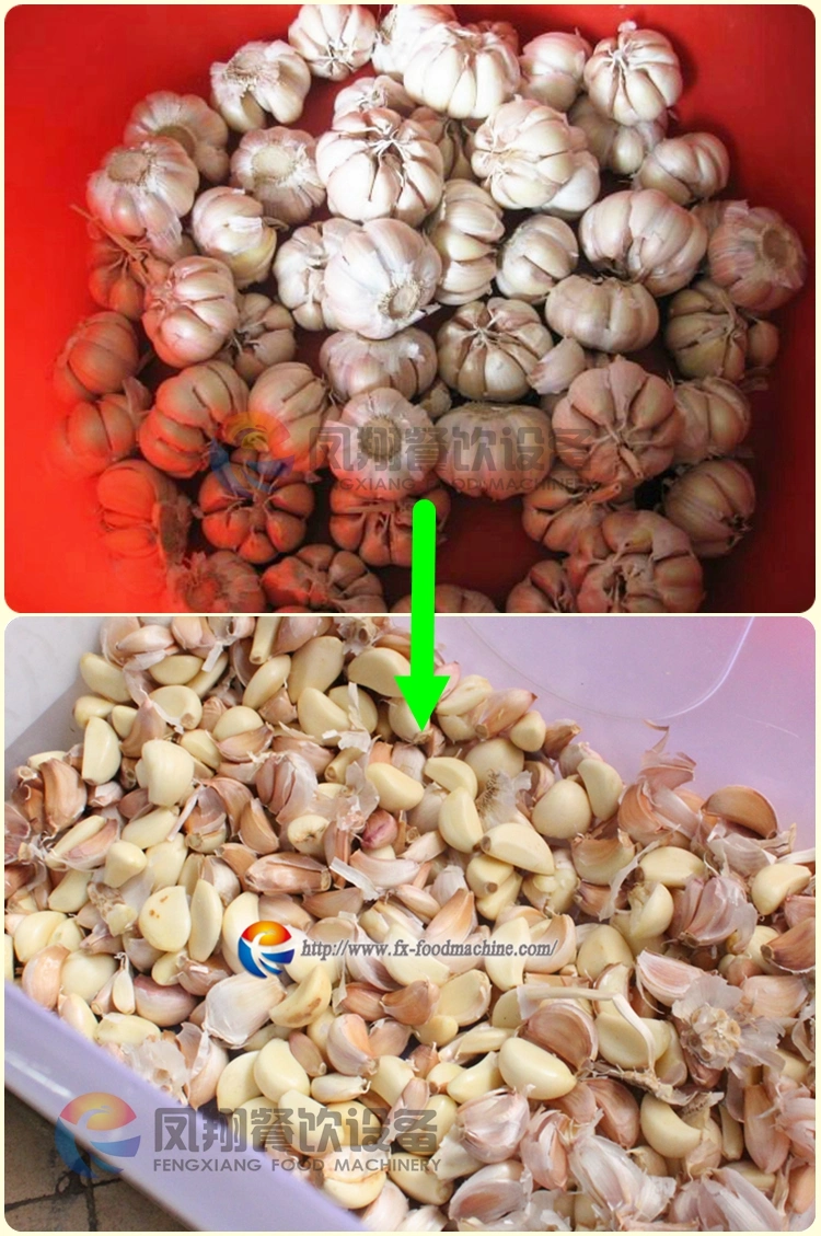 Automatic Stainless Steel Garlic Clove Breaking Separating Machine