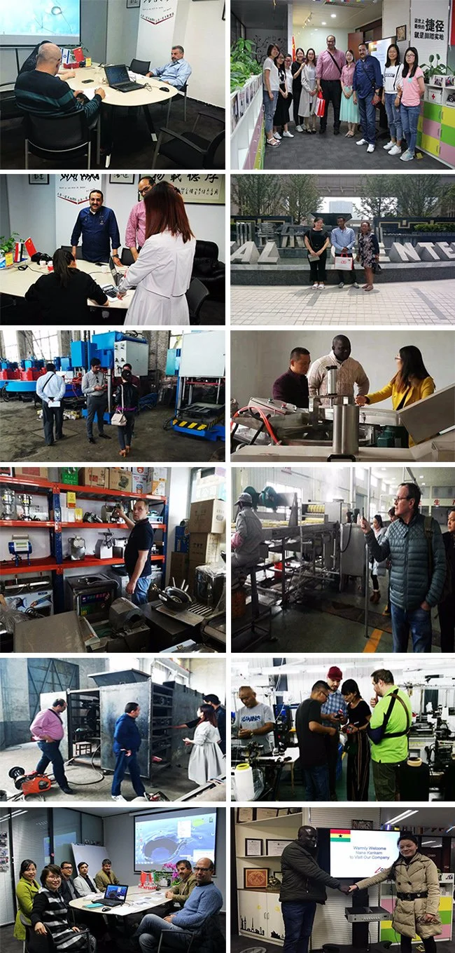 Professional Automatic Seed Packing Machine Sunflower Seeds Packing Machine