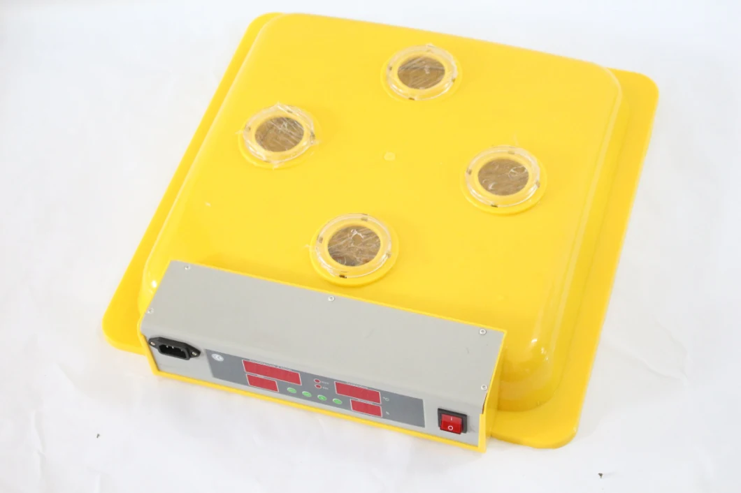 CE Approved Small Quail/Mini Automatic Chicken Egg Incubator (KP-48)