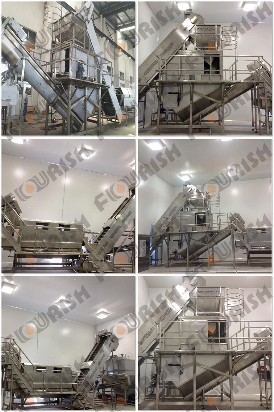 Full Automatic Industrial Potato Washing and Peeling Machine Industrial Carrot Ginger Washer Peeler