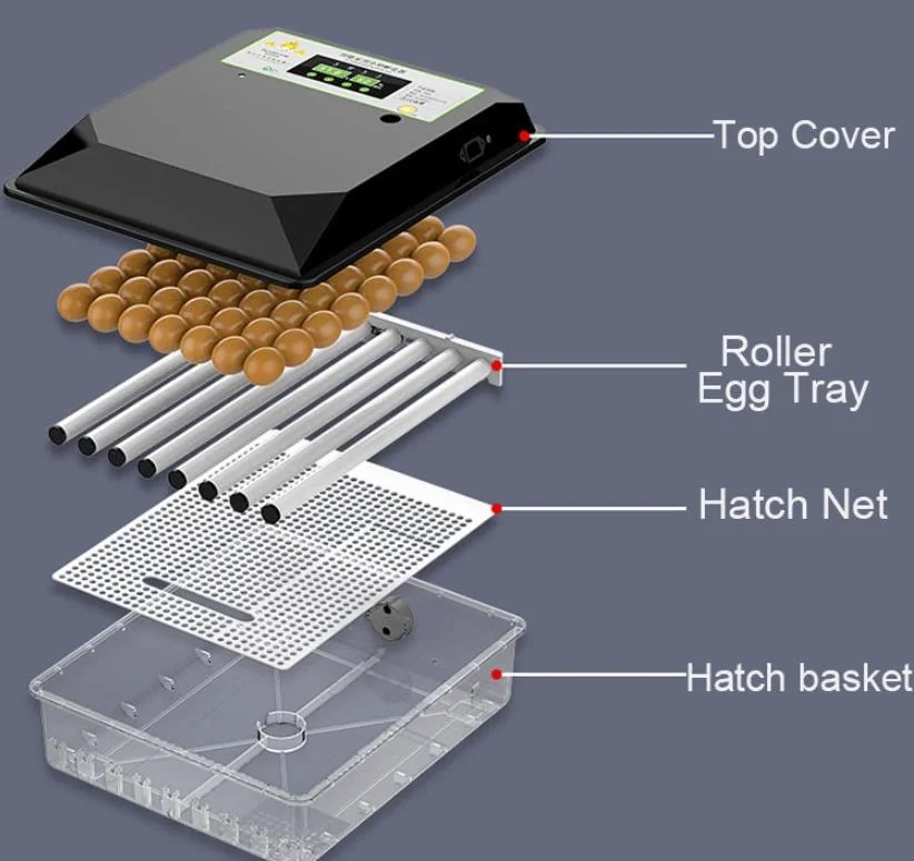 Professional Family Use Mini Chicken/Duck/Goose/Quail/Ostrich Egg Incubator