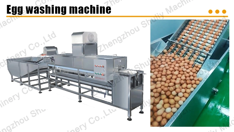 Egg Washing Machine Egg Washer Egg Cleaning Machine