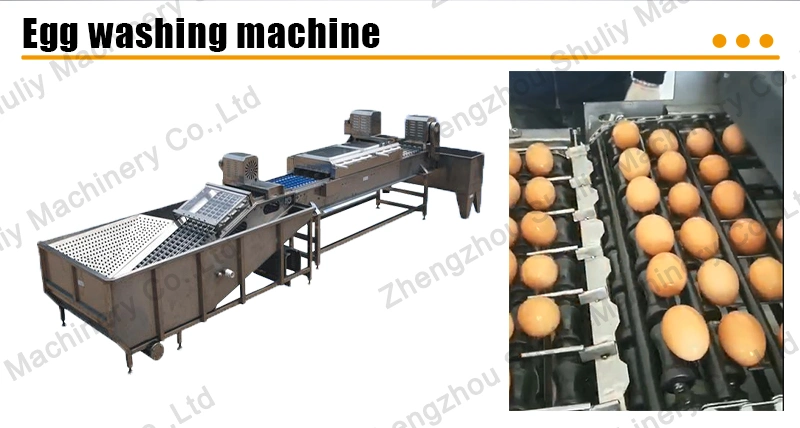 Egg Washing Machine Egg Washer Egg Cleaning Machine