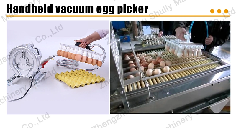 Egg Washing Machine Egg Washer Egg Cleaning Machine