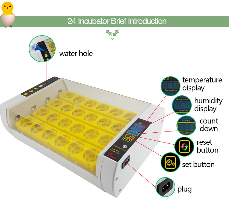 New Condition Hhd 220V Commercial Mini Egg Incubator 24 Egg Hatcher