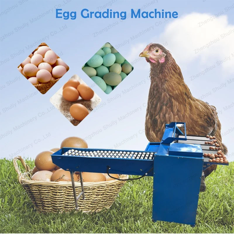High Efficiency Electric Egg Grader Equipment Sorting Machine