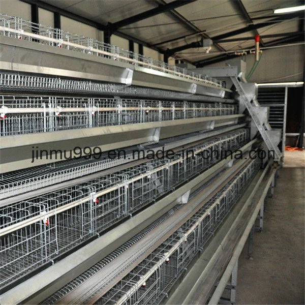 Quality Agricultural Farm Machinery Poultry Equipment Egg Laying Chicken Cage