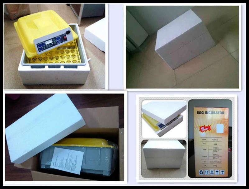 Full Automatic CE Approved Mini Egg Incubator for Quail Eggs