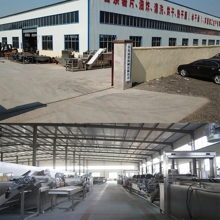Fruit Vegetable Processing Machines Washing Drying and Grading Machines