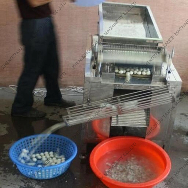 Easy Operate Quail Egg Sheller Quail Egg Shell Removing Machine