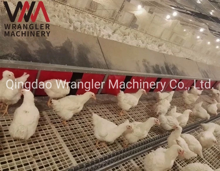 Chicken Farms Automatic Egg Nest for Laying Hen/Egg Automatic Collection Equipment