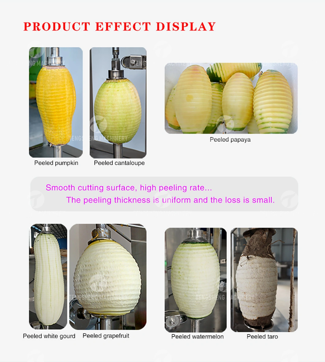 Large Pumpkin Watermelon, Winter Melon and Papaya Peeling Machine Automatic Peeling Machine (TS-P100)