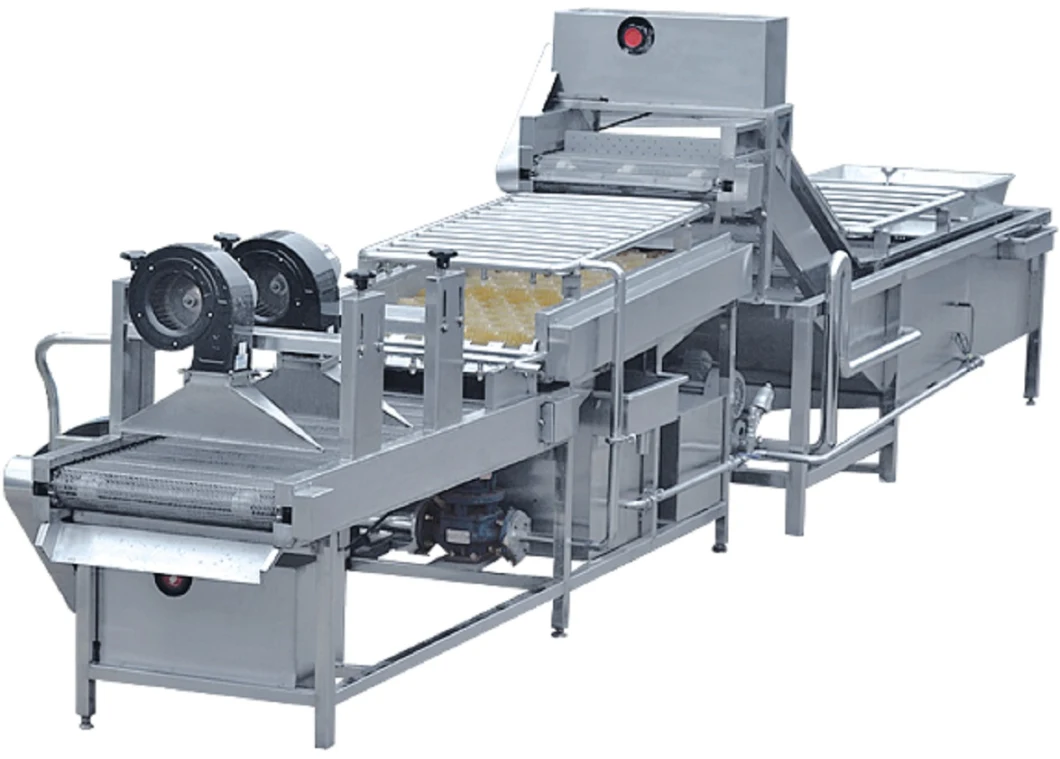 Fruit Vegetable Processing Machines Washing Drying and Grading Machines