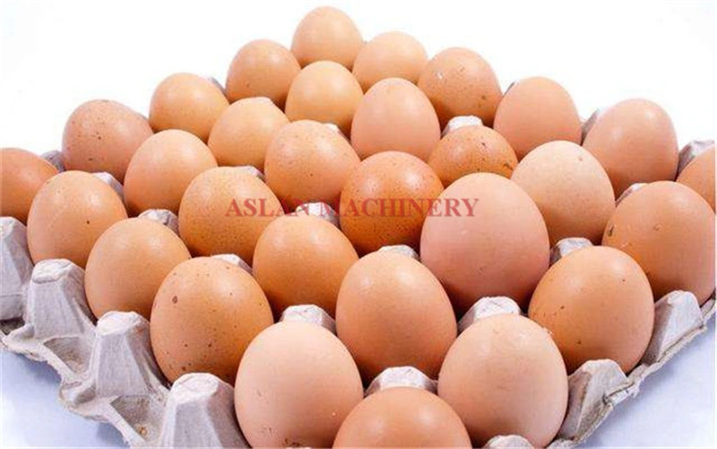 Carbon Stainless Steel Egg Grader for Sale/Egg Grading Machine/Egg Sorting Machine