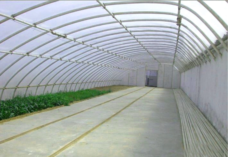 Prefabricated Plastic Film Covered Sunlight Greenhouse for Tomato/Cucumber/Egg Plant