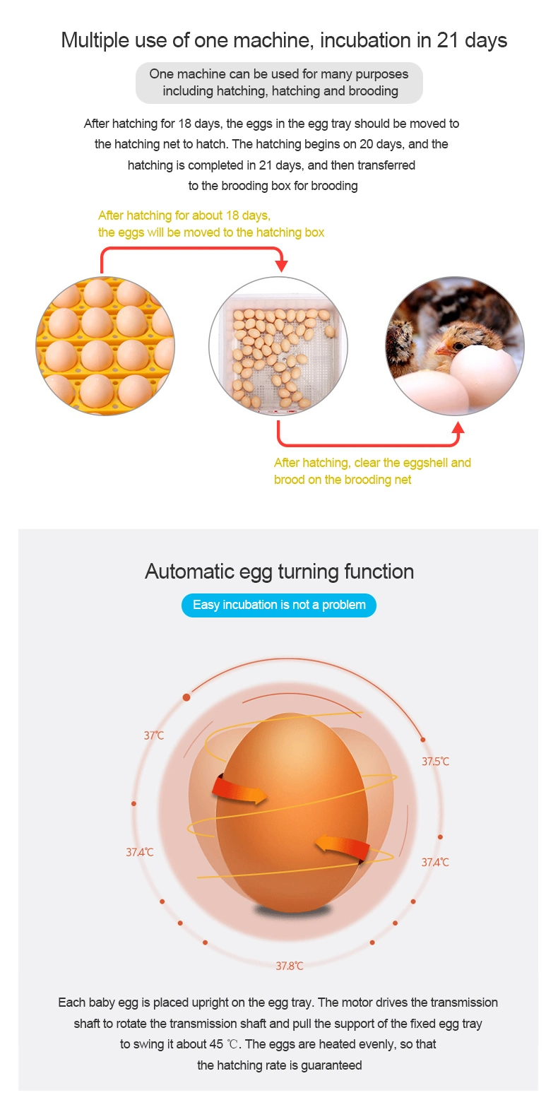 Mini Automatic Egg Hatching Machine for Sale 48 Mini Eggs Incubator