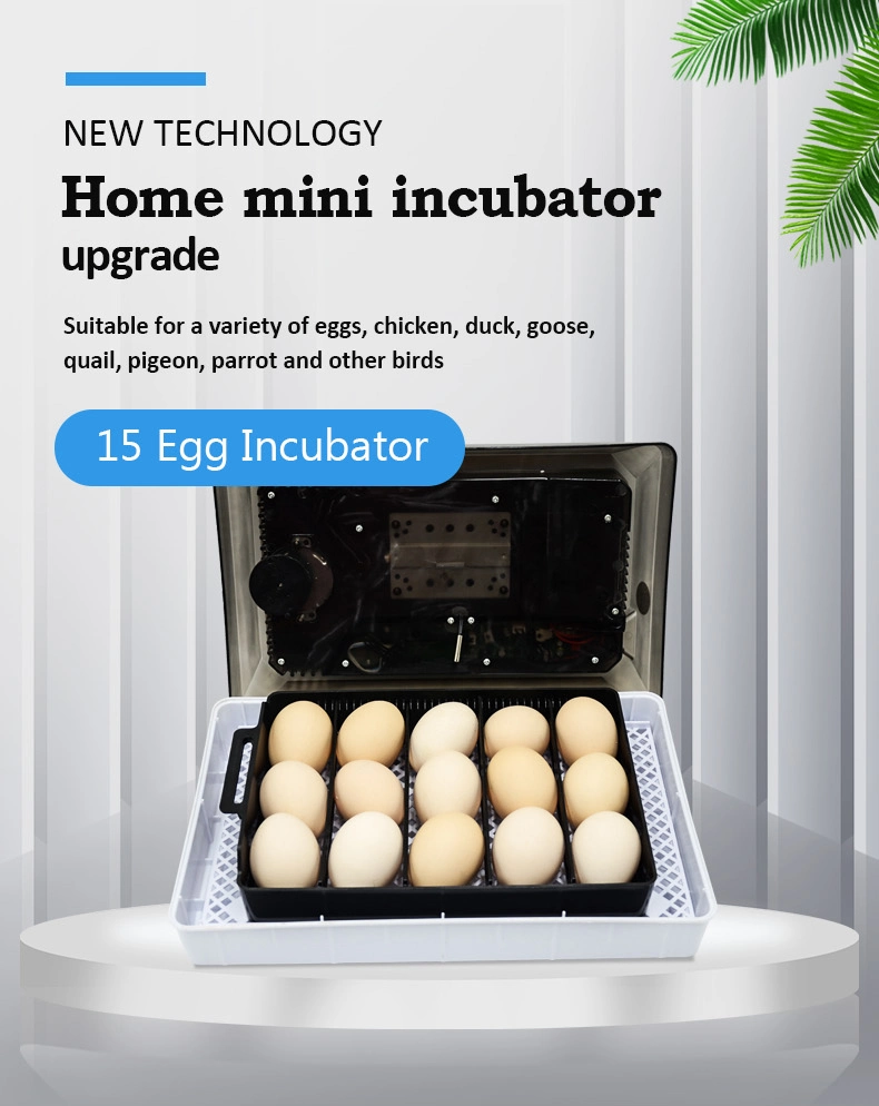 Newest Generation House Mini Intelligent Incubator for Quail Eggs with Intelligent Control Panel