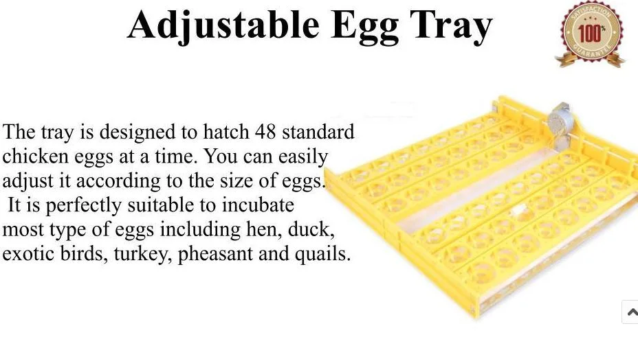CE Certified Cheap Educational Egg Incubator Holding 48 Quail Eggs Incubator (KP-48)