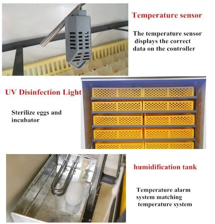 Professional Automatic Hatch Machine and Chicken Eggs Incubator 88-1848 Eggs