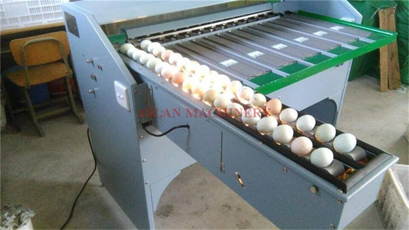 Carbon Stainless Steel Egg Grader for Sale/Egg Grading Machine/Egg Sorting Machine