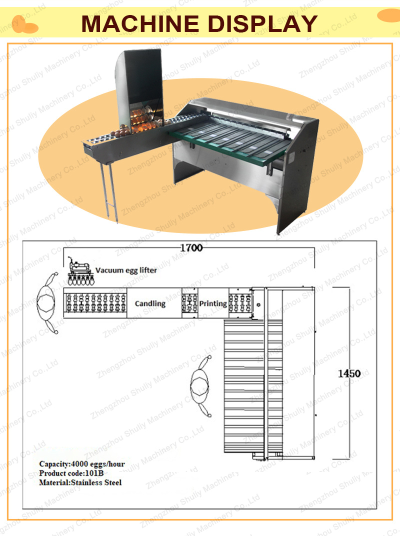 Egg Grader Machine Sorting Grading Machine for Sale