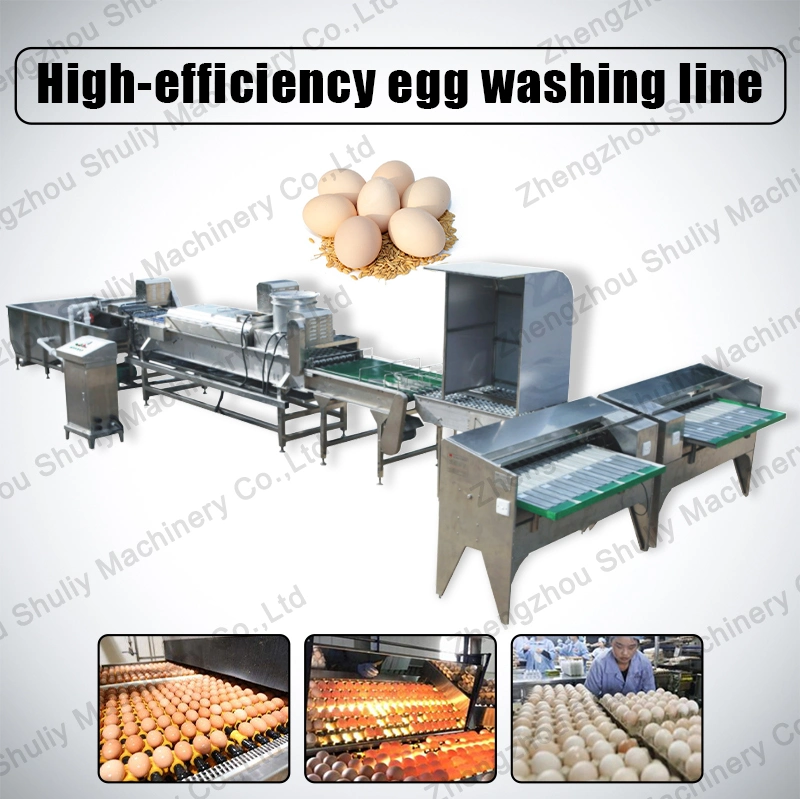 Egg Washing Machine Egg Washer Egg Cleaning Machine