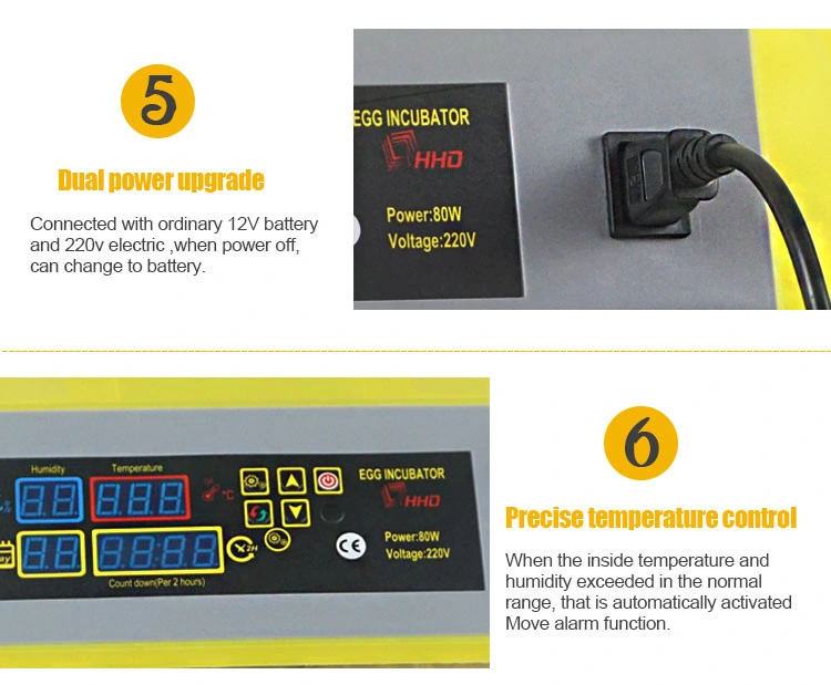 Full Automatic CE Approved Mini Egg Incubator for Quail Eggs