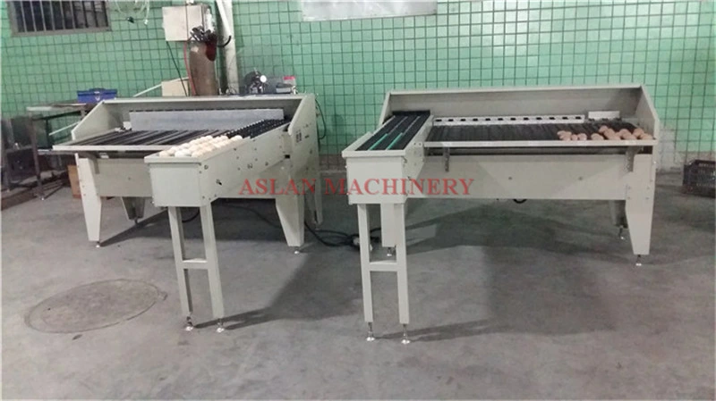 Carbon Stainless Steel Egg Grader for Sale/Egg Grading Machine/Egg Sorting Machine