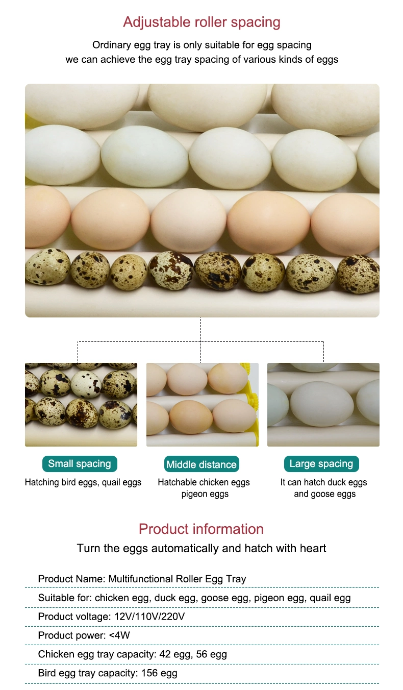 Multi-Functional Automatic Roller Egg Tray Hatching All Kinds of Eggs