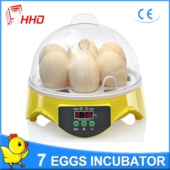 Christmas Gift Automatic Mini Quail Egg Incubator for 7 Eggs