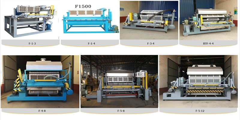 Large Production Line Pulp Tray Machine Egg Packing Boxes Making Machine