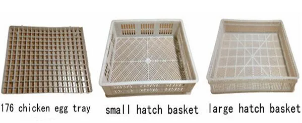Chicken House Hatching Machine Egg Hatching Equipment