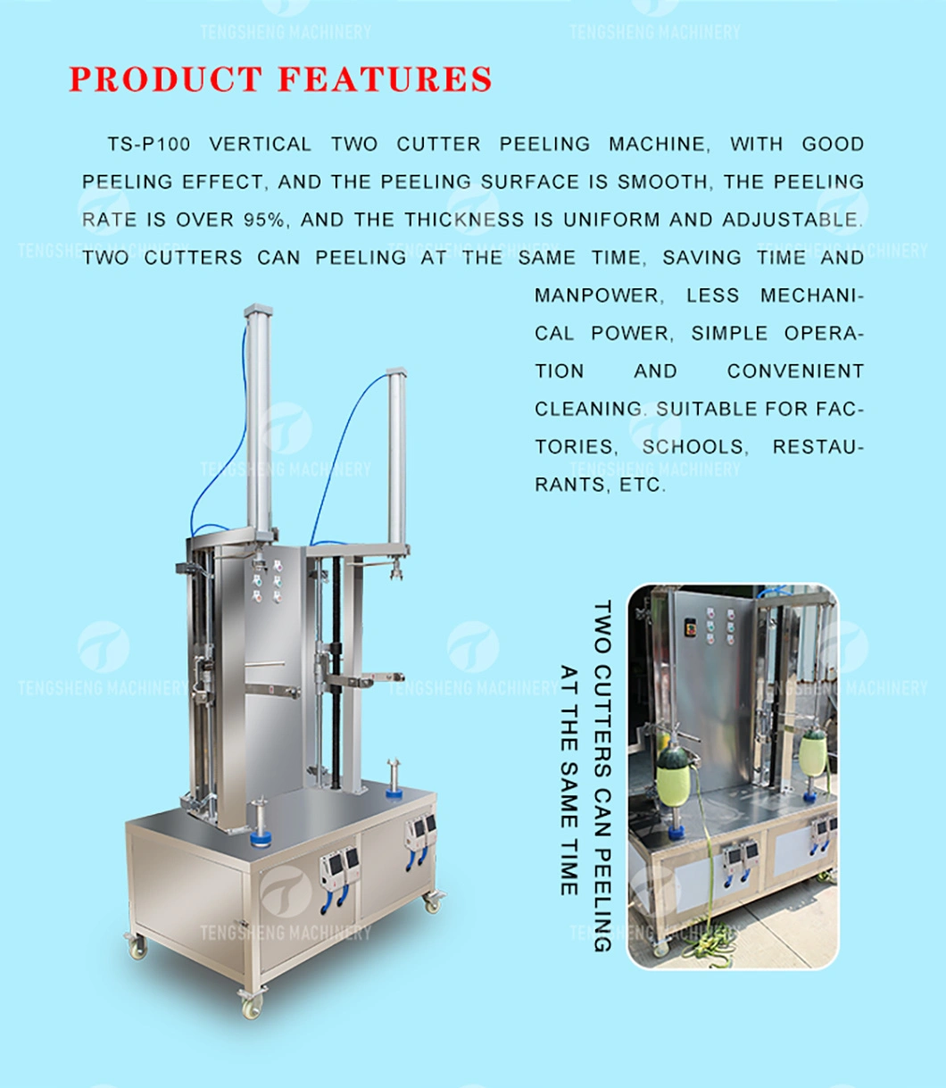 Large Pumpkin Watermelon, Winter Melon and Papaya Peeling Machine Automatic Peeling Machine (TS-P100)